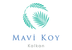 mavi koy referans